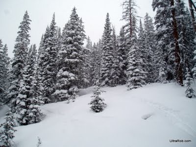 Deep Snow Near Eiseman Hut