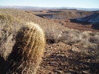 View from Barrel Roll Trail in St. George, UT