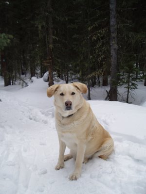 Kody on Peak to Peak Trail