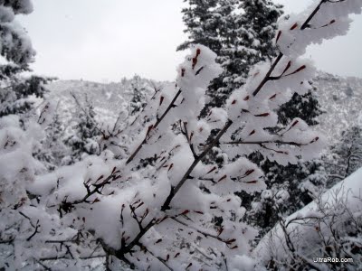 Snow on Manitou Incline