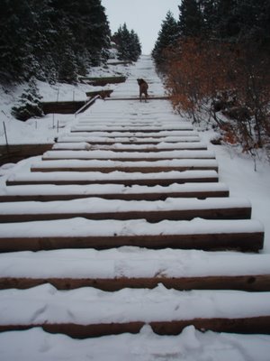 Top of Manitou Incline