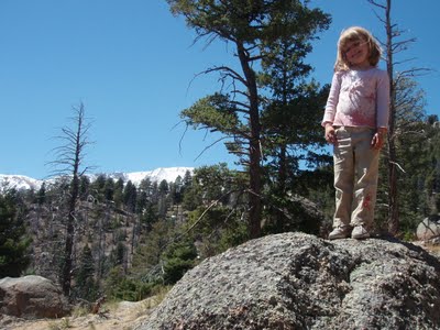 Pikes Peak from Top of Manitou Incline