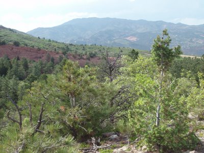 White Acres, Colorado Springs