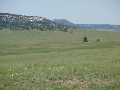 Greenland Open Space where the 24 Hours of EROCK is Held