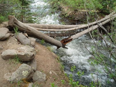 Lost Trail Creek Trail