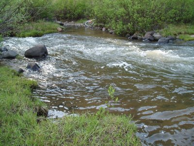 Lost Trail Creek Trail