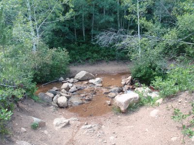 Pikes Peak Area Trail