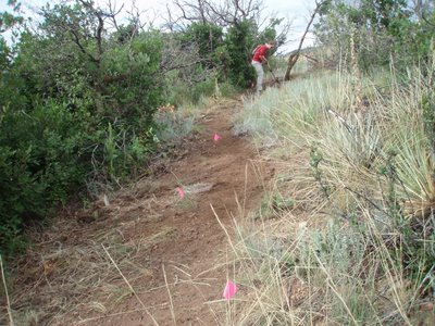 Building Bear Creek Singletrack - After of a Section