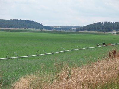 Farm Land Near Elbert, CO