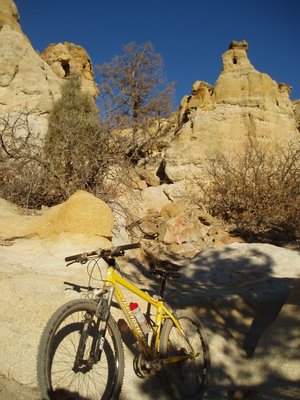 Mountain Biking Palmer Park