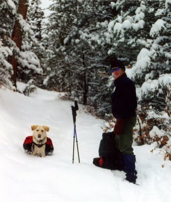 Dog Hiking in Snow with Packs