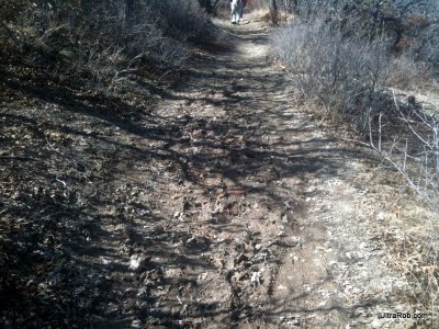 Muddy Spot on Trail