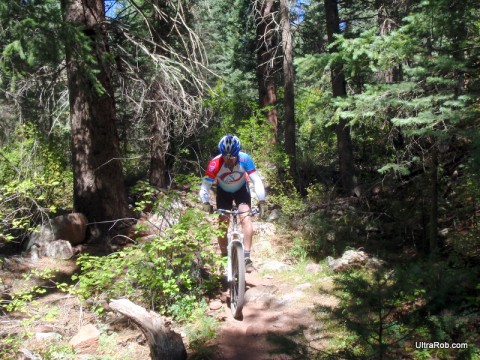 Mountain Biking Williams Canyon