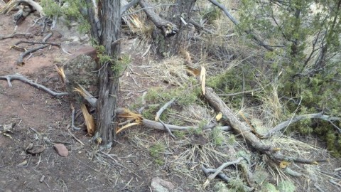 Illegal Trail Building in Garden of the Gods