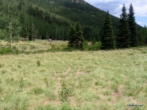 Jones Park Above Colorado Springs