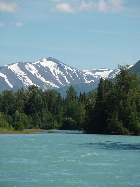 Kenai River